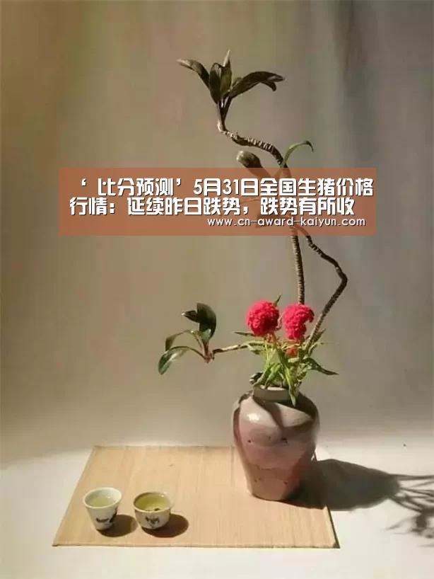  比分预测