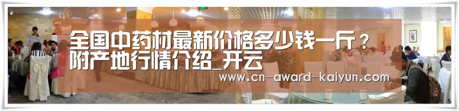  开云体育
